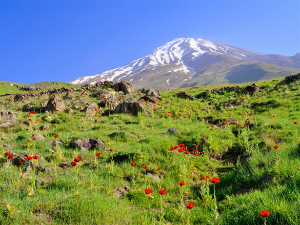 جاذبه های (گردشگری) جاده هراز